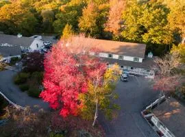 The Lodge on the Cove