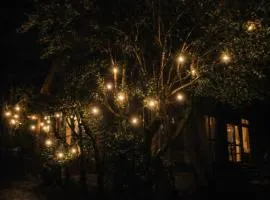 山小屋ロッジchichinpuipui house2