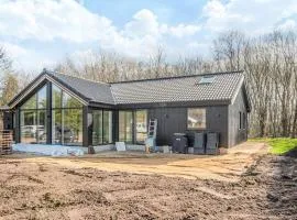 5 star holiday home in Ansager