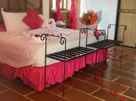 Wellness Pet Friendly El Secreto