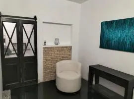 Apartment Loft in Downtown Monterrey