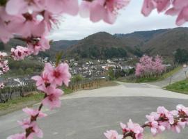 Burgblick Rech - Ahrtal, hotel u gradu Reh