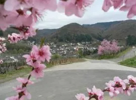 Burgblick Rech - Ahrtal