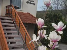 Vár-lak apartmanház