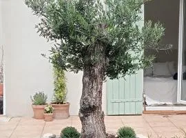 Maison près d'Avignon vue pinède