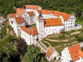 1 Zimmer Ferien und Monteurwohnung im Zentrum von Colditz