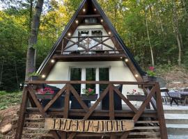 Planinska vila KTM Lisine, hotel din Despotovac