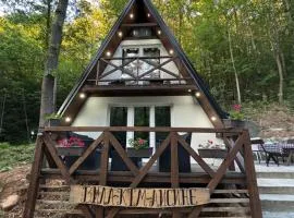 Planinska vila KTM Lisine