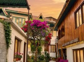 Hotel New Green View a part, Hotel in Srinagar