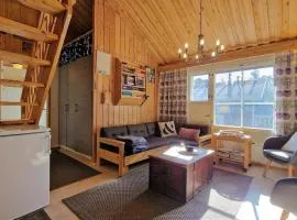 Viessu - Aurora Cabin in Saariselkä Lapland