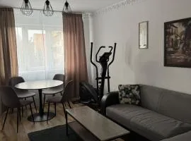 Modern 3BR apartment Near Nicolae Romanescu Park