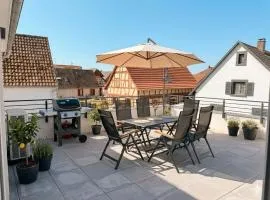 Large terrace, close to Europapark, pets ok