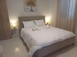 Luxury Gem Apartment