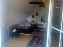 Schafshof zum anfassen