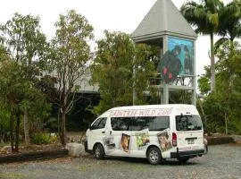 Daintree Wild Bed & Breakfast