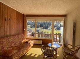 Studio avec vue sur la prairie, Hotel in Le Lioran