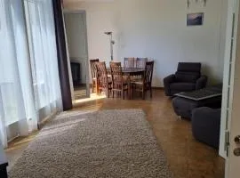 Neries Livingpalanga