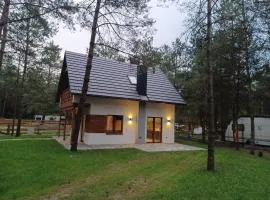 Szepczące Sosenki Borsk domek na wynajem