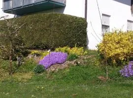 Ferienwohnung-Schmid