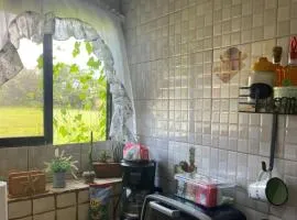 Hidden House Casa Escondida