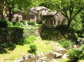 Moulin à eau du 17-19e Siècle au coeur du Sud-Aveyron