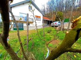 Kuca Denic, Hotel in Svrljig