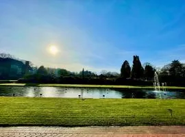 Bushy Hill Drive GU1 2UG