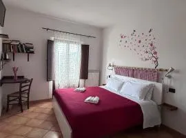 Azienda Agricola Mappavel's