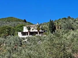 FILOXENIA by Villa Paou - swimming pool