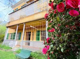 Villa Rollier, Arte e Meditazione