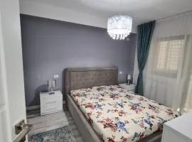Romanescu Park Apartament
