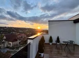 Modern Penthouse with Large Terrace & Stunning Sunset Views