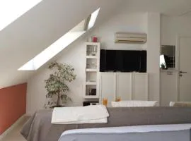 Estudio Jaen 1