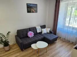 Apartament w Rynku