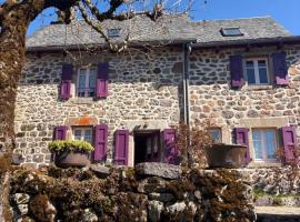 Nouveau - Maison Nierveze proche Lioran, hotel a Thiézac