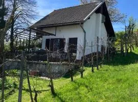 Vikendica na Kučarju ob Kolpi