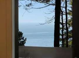 Tree House