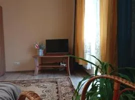 Центр, 2кім-на не вимикають світло