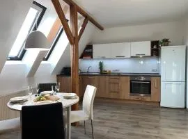 Prostorný apartmán blízko centra