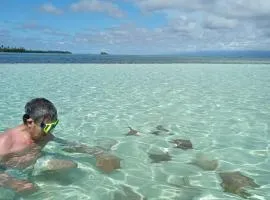 Discovery Gunayar