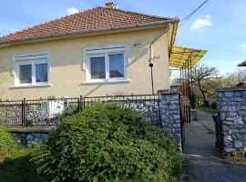 Balázs Vendégháza