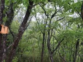 Sauna Camp Lodge Forest Sounds - Vacation STAY 69407v