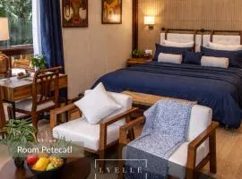 Resort Tropical Wellness en Morelos