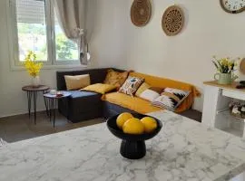 NMD house