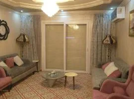 Fully furnished apartment in Zayed Dunes Complex
