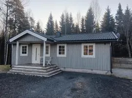 Ferienhaus in Torsby zwischen Wald, Fluss und Seen