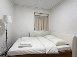 Deluxe Renovated Apartment, Comfort & Style in MULHOUSE CITY Center