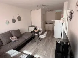 Appartement cosy centre