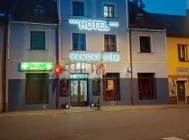 Hotel Panský dům