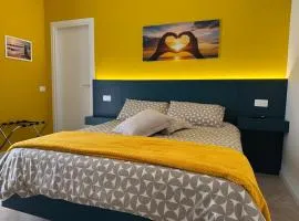 HOUSE on sunday SOLE